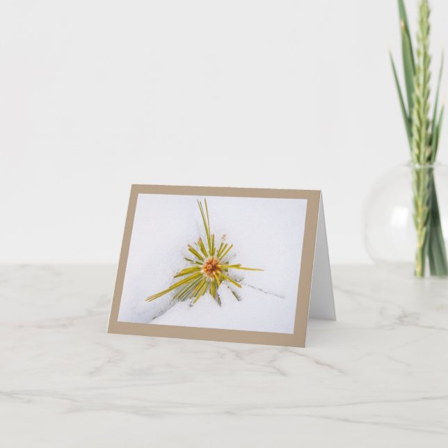 Anteckningskort för ögonblicksbilder av östra Sier (Framsida)