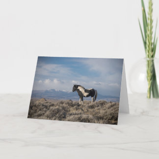 Anteckningskort "Kung i berget"