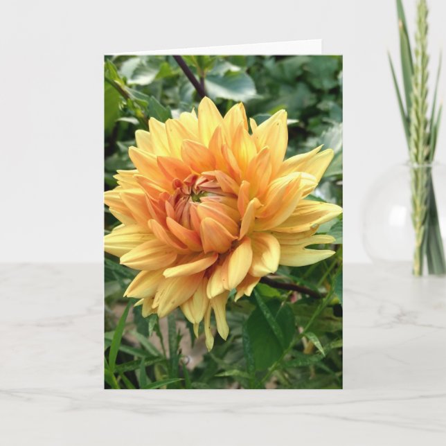 Anteckningskort med gult dahlia (Framsida)