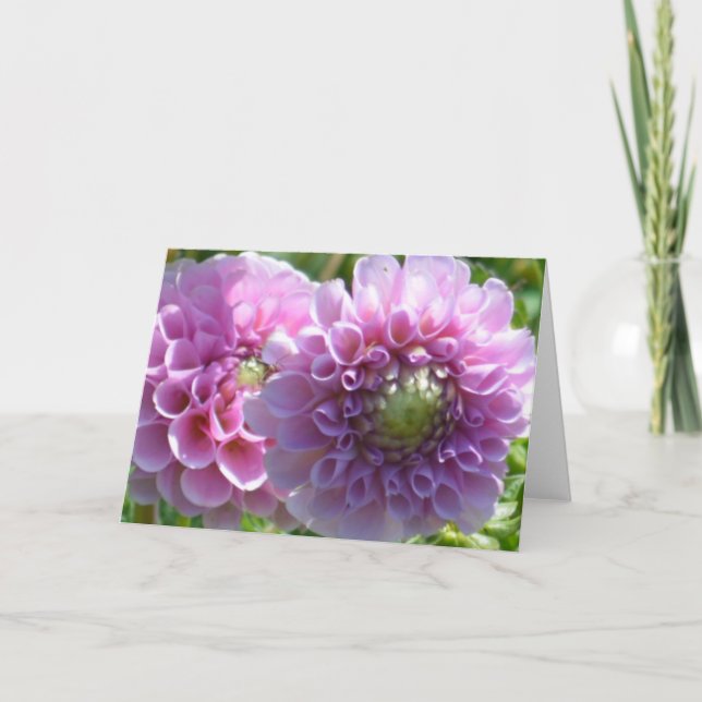 Anteckningskort med lavender dahlias (Framsida)