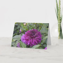 Anteckningskort med lila dahlia i trädgård