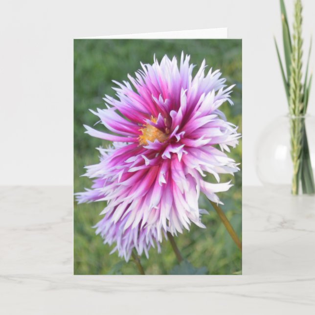 Anteckningskort med lila och vit dahlia (Framsida)