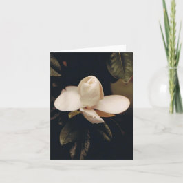 Anteckningskort med Magnolia-Blommar