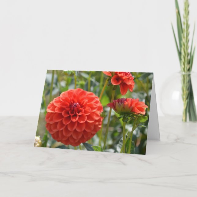 Anteckningskort med orange dahlia (Framsida)