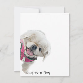 Anteckningskort med Peter Rottinclude