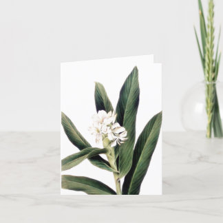 Anteckningskort med vit blomma