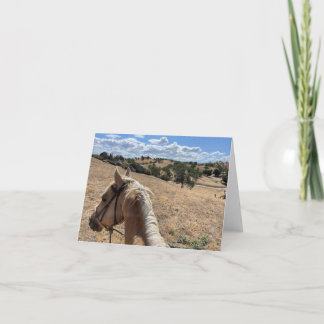 Anteckningskort, Palomino Horse och Blå himmel Anteckningskort