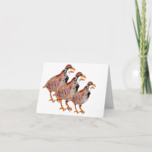 Anteckningskort: Partridge