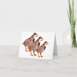 Anteckningskort: Partridge Anteckningskort