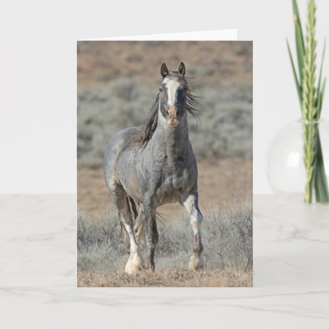 Anteckningskort "Real Vild One" (Framsida)