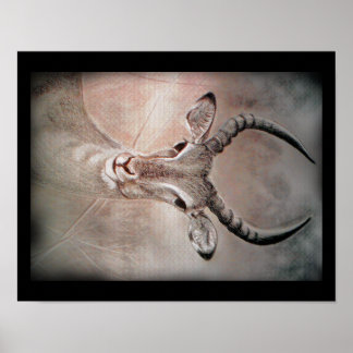 Antelope Art Poster