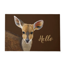 Antelope Bushbuck Young African Hjort Teckning