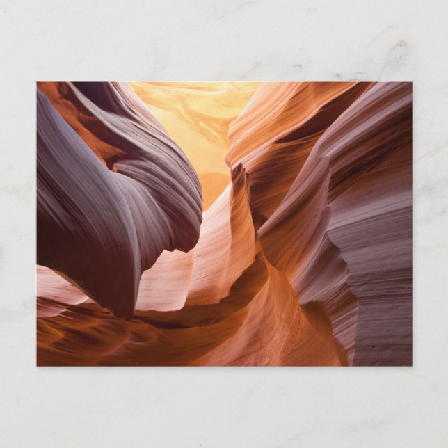 Antelope Canyon-kort Vykort (Framsida)