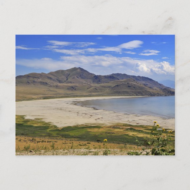 Antelope Island State Park, Underbara Salt Sjö Vykort (Framsida)