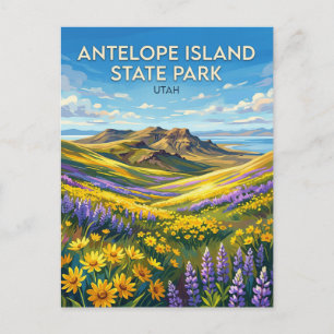 Antelope Island State Park Utah Vykort