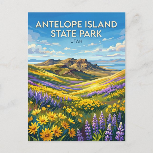 Antelope Island State Park Utah Vykort (Framsida)