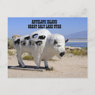 Antelope Island Underbar Salt Sjö Utah Postcard Vykort