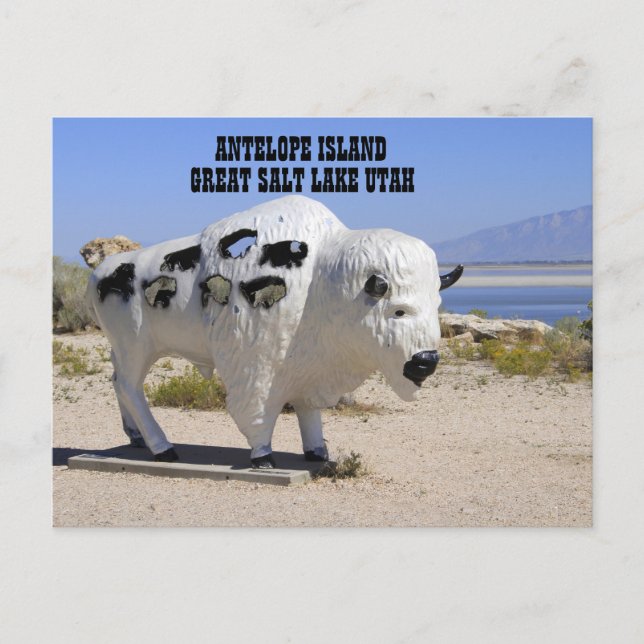 Antelope Island Underbar Salt Sjö Utah Postcard Vykort (Framsida)