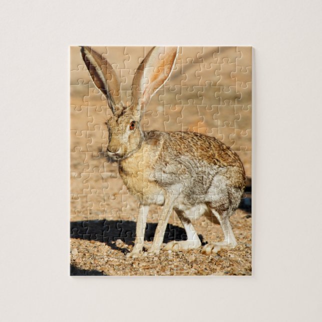 Antelope jackkanit porträtt, Arizona Pussel (Vertikal)