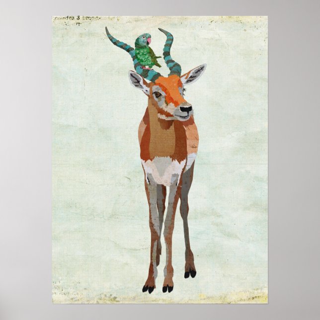 Antelope & Parrot Art Poster (Framsidan)
