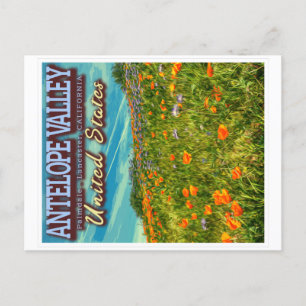ANTELOPE VALLEY - CALIFORNIA US - VÅR POPPIES VYKORT