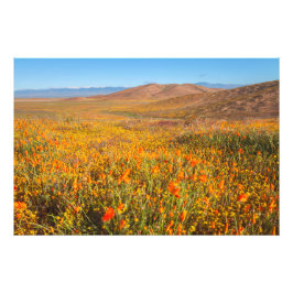 Antelope Valley Fototryck