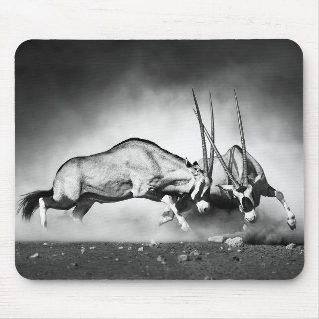 Antelopes Fighting Mouse Pad Musmatta (Framsidan)