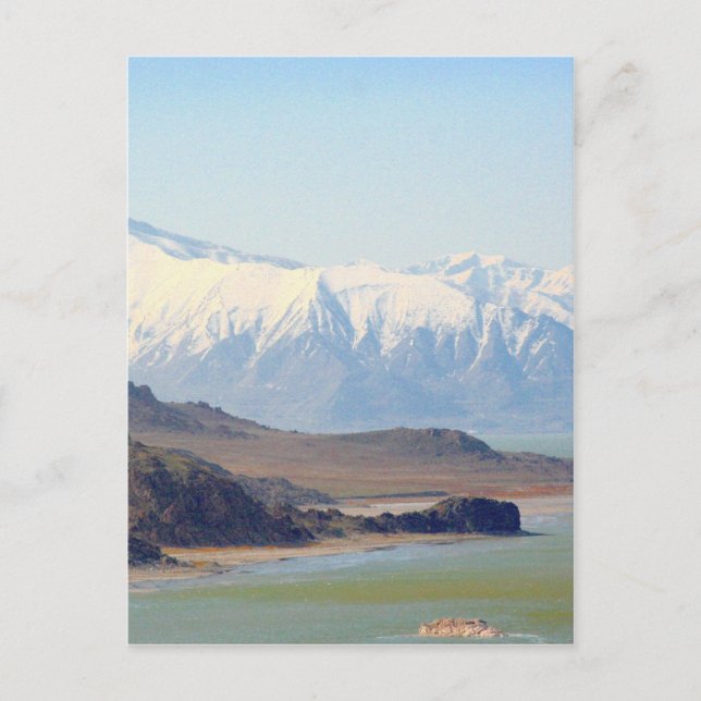 Antelopön på Underbara Salt Sjö Vykort (Framsida)