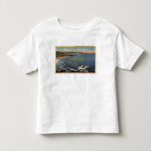 Antenn av covesna Along kusten T Shirt