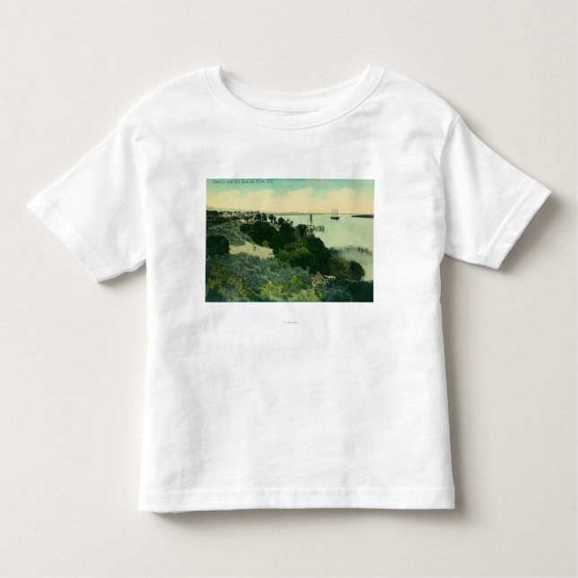 Antennen beskådar av Antioch och San Joaquin River T Shirt (Framsida)