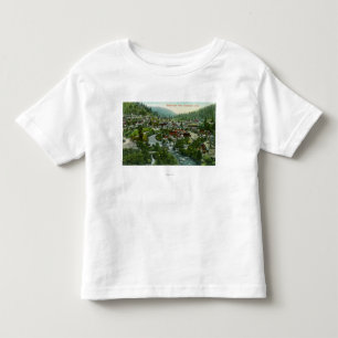Antennen beskådar av CityDunsmuiren, CA T-shirt