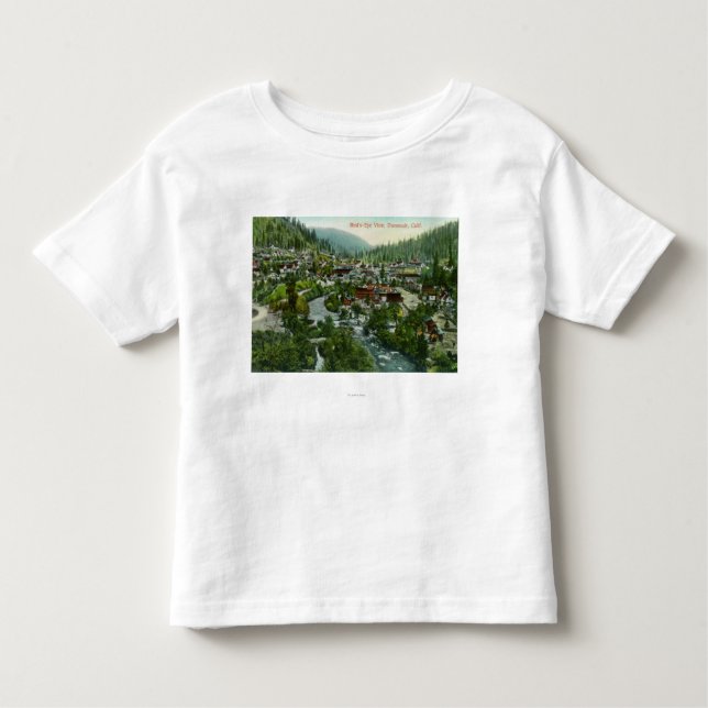 Antennen beskådar av CityDunsmuiren, CA T-shirt (Framsida)