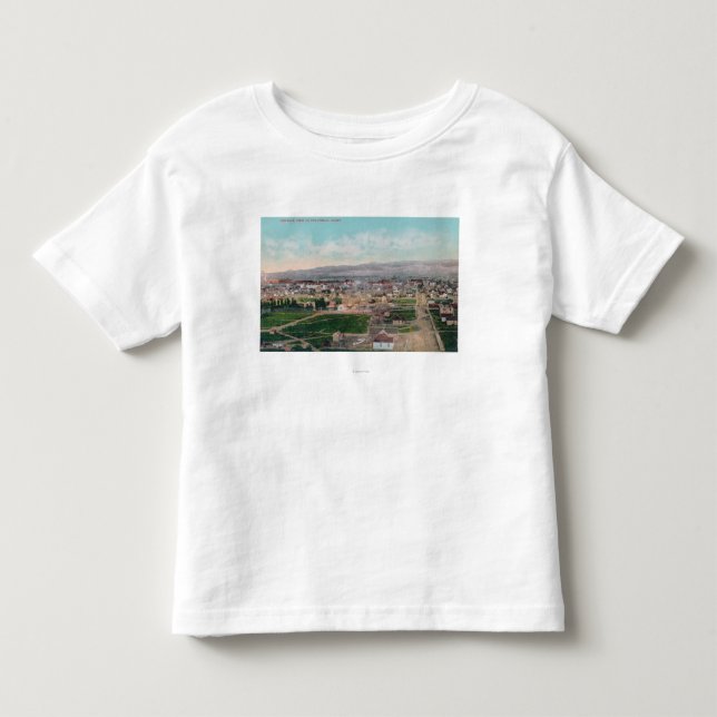Antennen beskådar av CityPocatelloen, legitimation Tee Shirt (Framsida)
