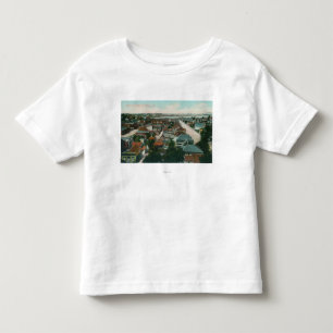Antennen beskådar av CityVallejoen, CA Tee Shirt