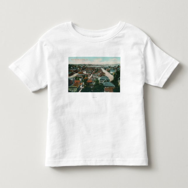 Antennen beskådar av CityVallejoen, CA Tee Shirt (Framsida)