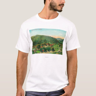 Antennen beskådar av de TownBartlett vårarna, CA T Shirt
