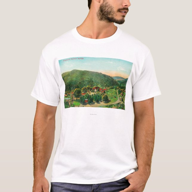 Antennen beskådar av de TownBartlett vårarna, CA T Shirt (Framsida)