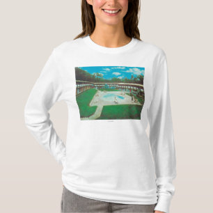 Antennen beskådar av den guld- tee shirt