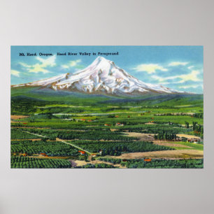 Antennen beskådar av den Hood River dalen och berg Poster