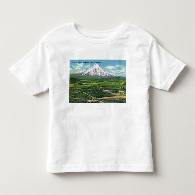 Antennen beskådar av den Hood River dalen och berg Tee Shirt (Framsida)