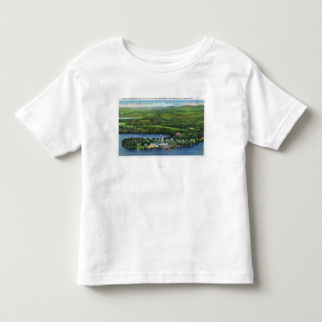 Antennen beskådar av den Saranac gästgivargården Tee Shirt (Framsida)