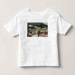 Antennen beskådar av en dela upp av staden t shirt