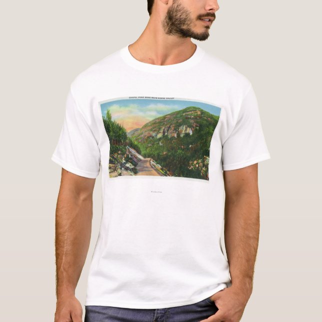 Antennen beskådar av fiskbäckjordning, den Saranac Tee Shirt (Framsida)