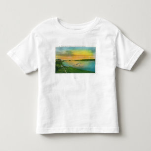Antennen beskådar av fjärden överbryggar till t-shirt