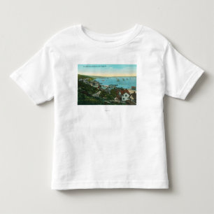 Antennen beskådar av fort Rosecrans och stad T Shirt