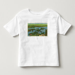 Antennen beskådar av internationell överbryggar t shirt