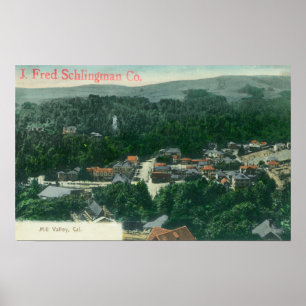 Antennen beskådar av mal den ValleyMill dalen, CA Poster