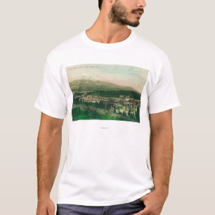 Antennen beskådar av ogräs som stationen på Mt. Tee Shirt