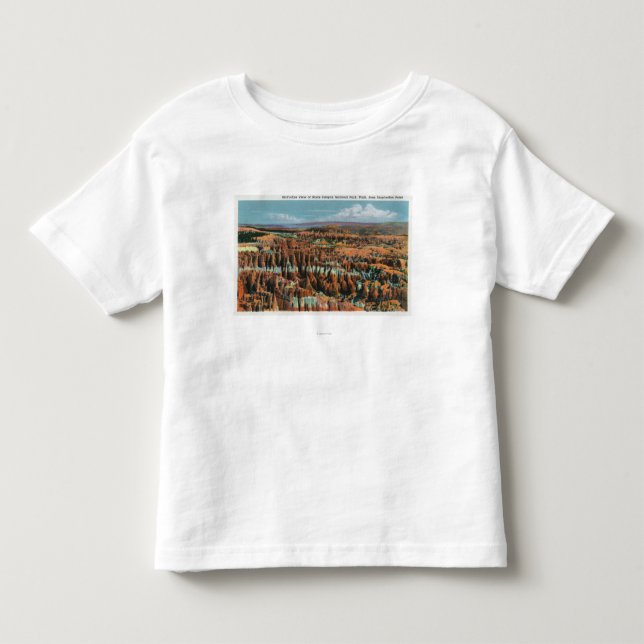 Antennen beskådar av parkerar från inspiration tee shirt (Framsida)