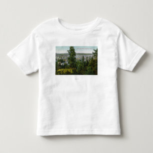 Antennen beskådar av stad till och med skogen t-shirt